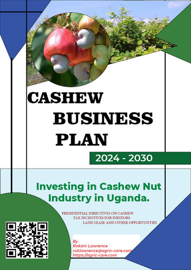 CASHEW NUT BUSINESS PLAN - INVESTING IN CASHEW NUT INDUSTRY IN UGANDA