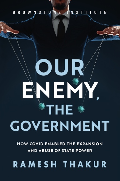 Our Enemy, the Government