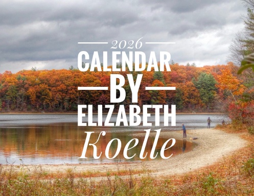 2026 Calendar by Elizabeth Koelle