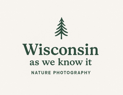 Wisco ‘26