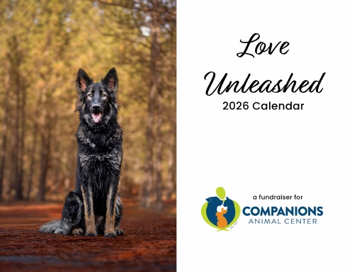 2026 Love Unleashed Wall Calendar