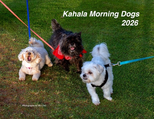 Kahala Morning Dogs 2026