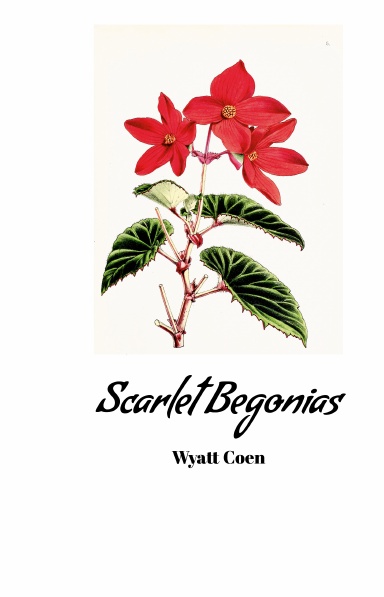 Scarlet Begonias