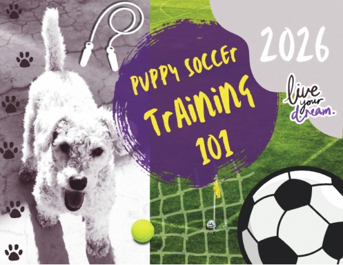 Puppy Soccer Training 101