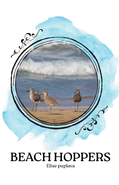 Beach Hoppers