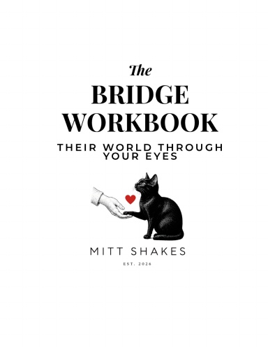 The Bridge Workbook