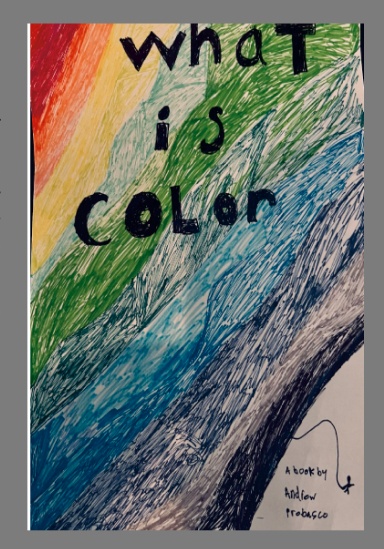 What is Color