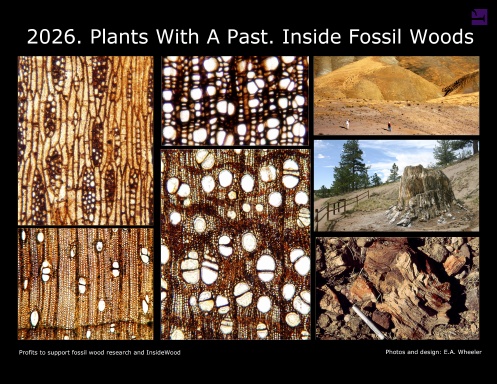 2027. Plants With A Past.