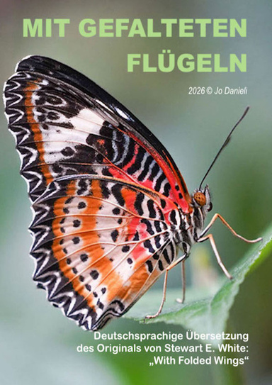 Mit gefalteten Flügeln
