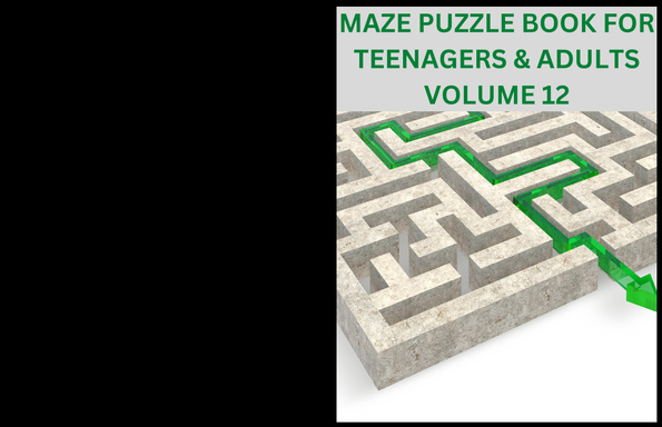 MAZE PUZZLE BOOK FOR TEENAGERS & ADULTS VOLUME 12