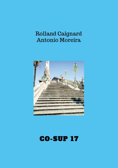 Co-Sup 17