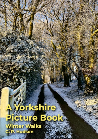 A Yorkshire Picture Book: Winter Walks