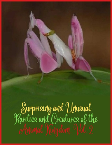 Surprising and unusual rarities and creatures of the Animal Kingdom. Vol. 2