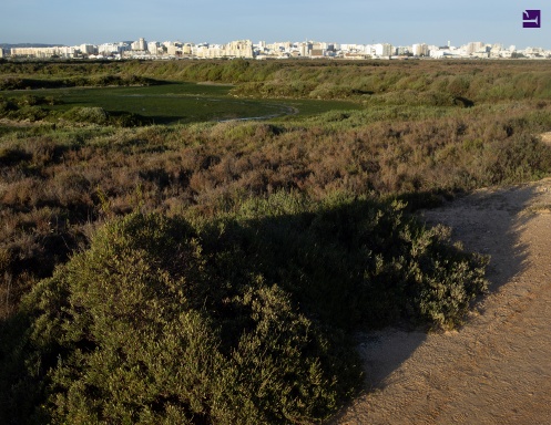 Faro Photo Calendar