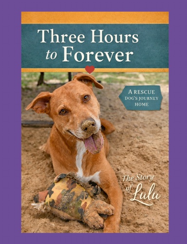 Three Hours To Forever