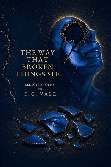 The Way Broken Things See