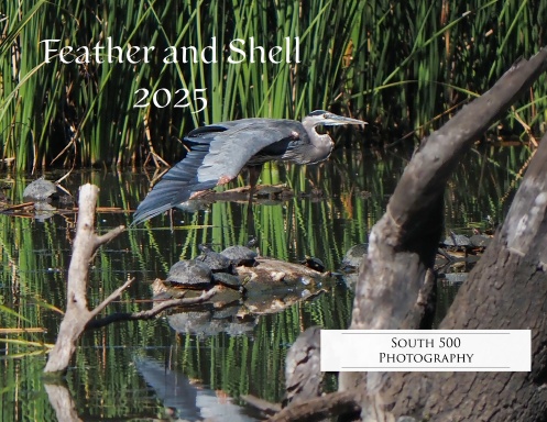 Friends of Feather and Shell