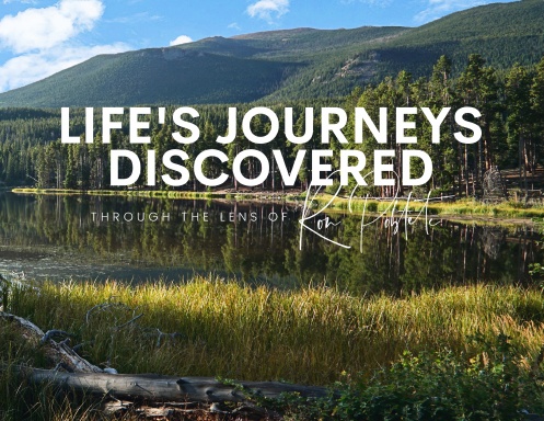 Life's Journeys Discovered