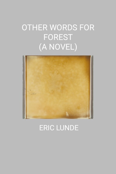 OTHER WORDS FOR FOREST (A NOVEL)