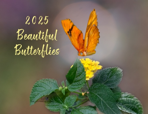 Butterflies 2025