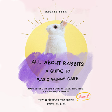 All About Rabbits: A Guide To Basic Bunny Care