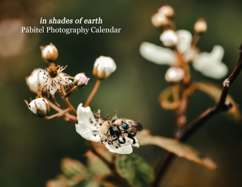 in shades of earth 2026