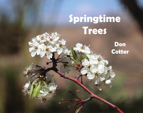 Springtime Trees