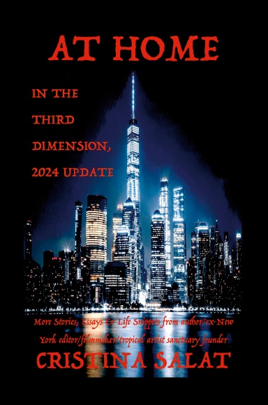 AT HOME IN THE THIRD DIMENSION, 2024 UPDATE (color)