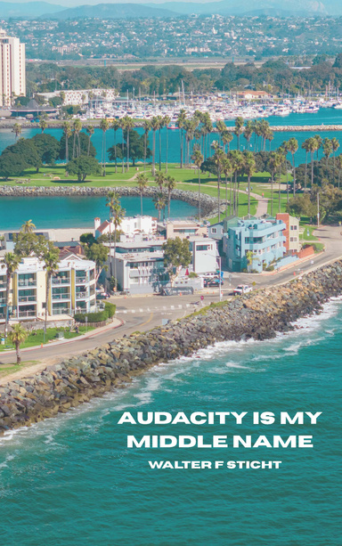 Audacity is My Middle Name