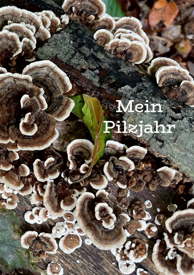 Journal für Pilzfreunde