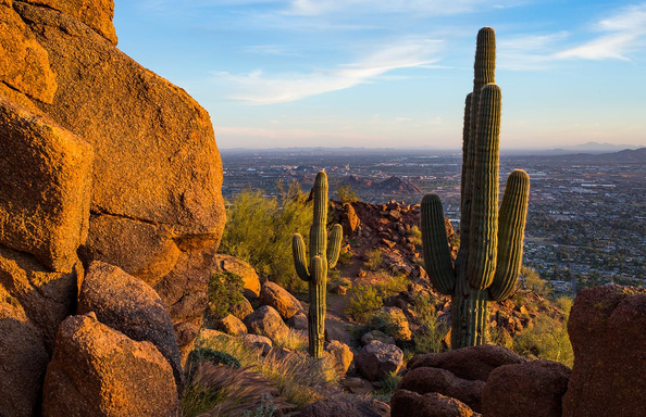 Soulful in Phoenix