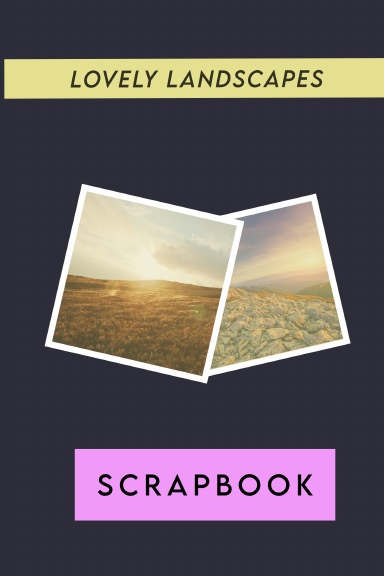 Disguised Password Log Book