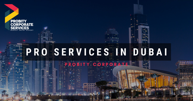 Pro Services In Dubai