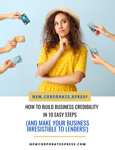 HOW TO BUILD BUSINESS CREDIBILITY (AND MAKE YOUR BUSINESS IRRESISTIBLE TO LENDERS!)