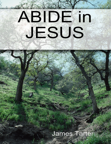 ABIDE in JESUS