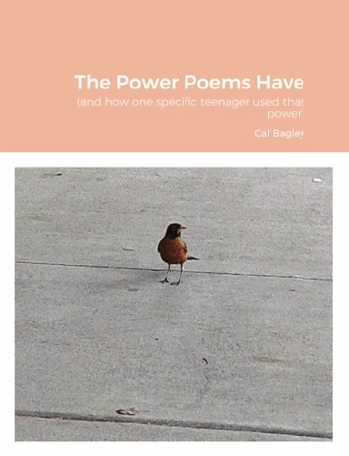 The Power Poems Have