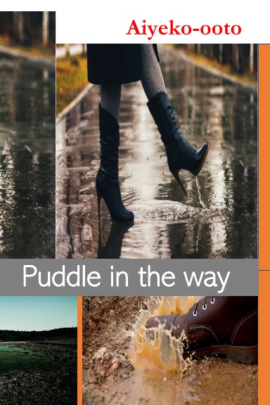 Puddle in The Way