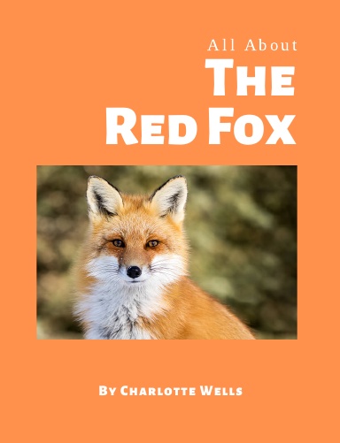 All About The Red FOx