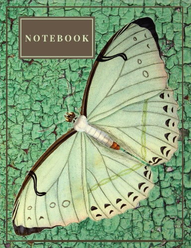Colourful Butterfly styled lined and blank notebook