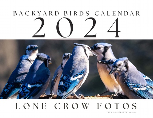 2024 Backyard Birds Calendar