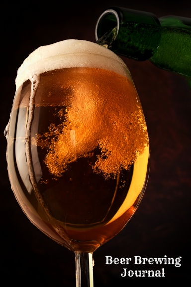 Beer Tasting Journal