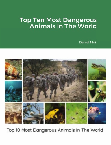 Top Ten Most Dangerous Animals In The World