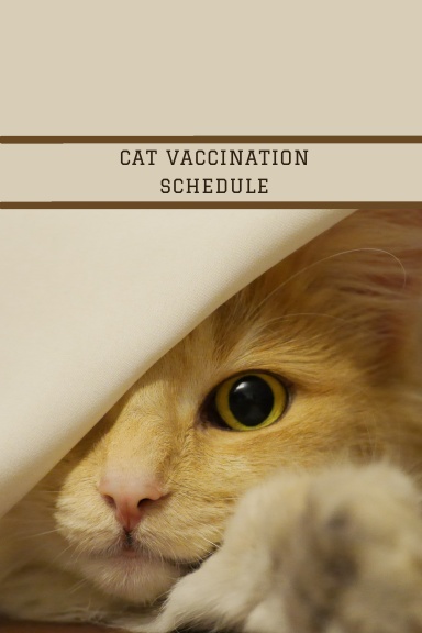 cat Vaccination Schedule