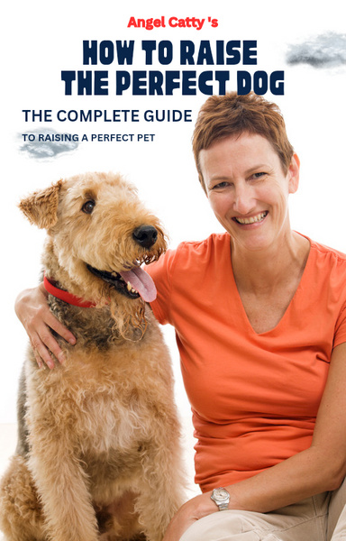 How to raise the perfect dog