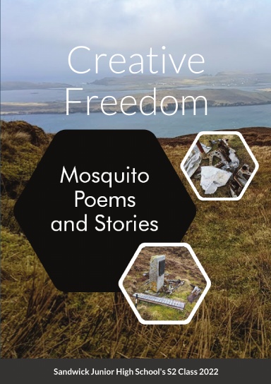 Creative Freedom
