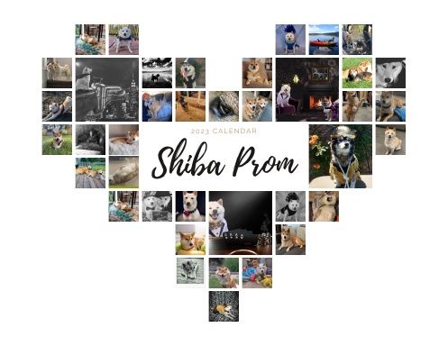 Shiba Prom Calendar 2023