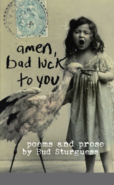 Amen, Bad Luck To You: Poems & Prose