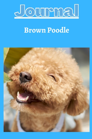 Brown poodle dog journal with a light blue background