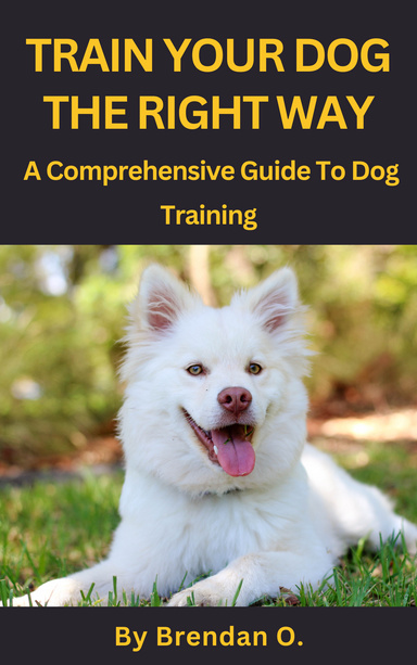 Train Your Dog The Right Way