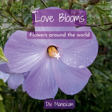 Love Blooms: Flowers around the world